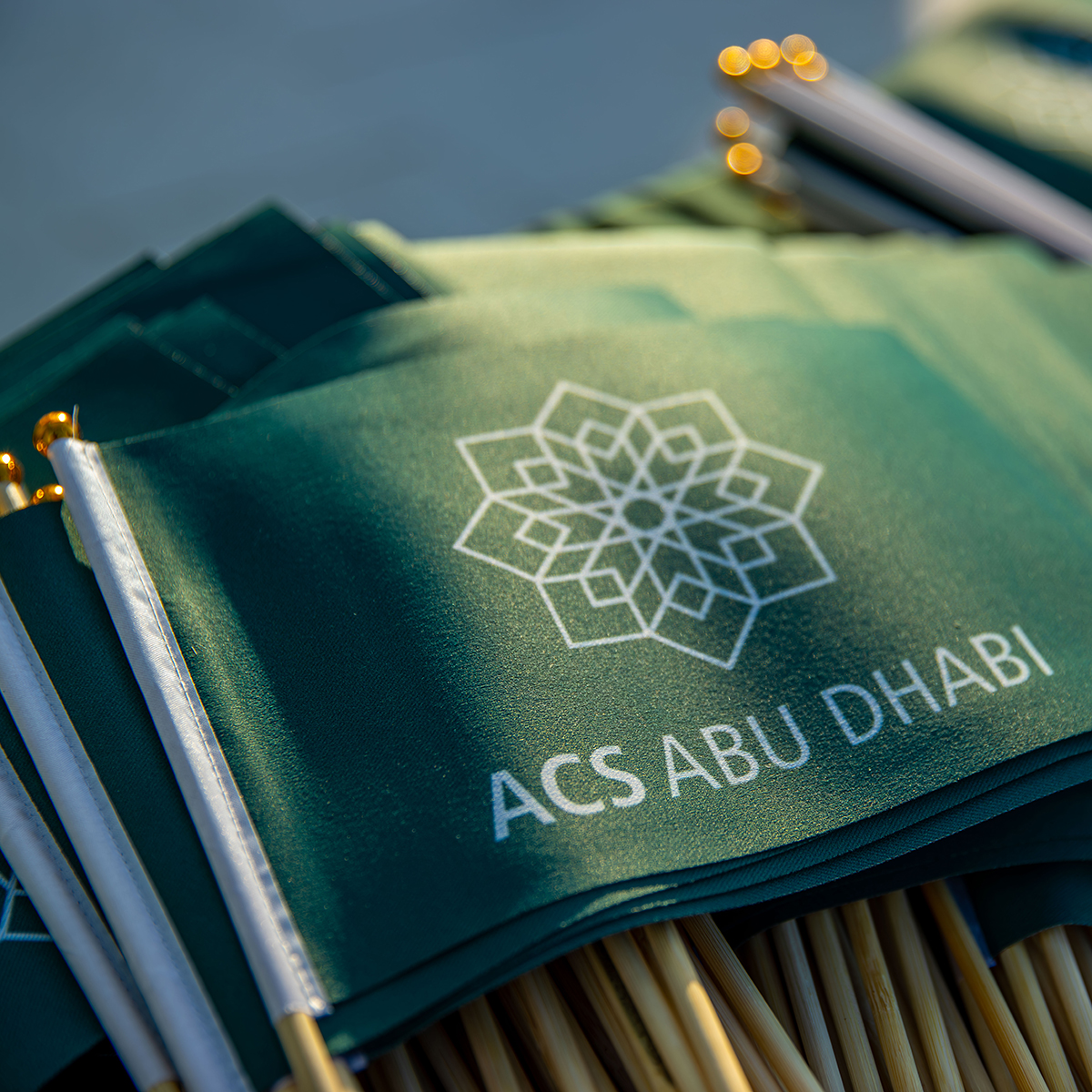 Flags_ACS