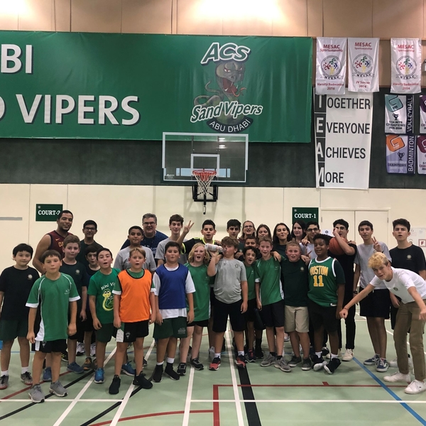 Mini Vipers