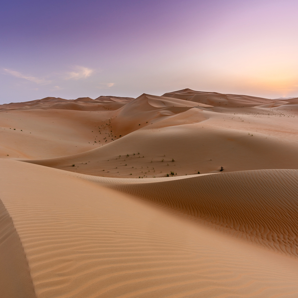 Abu Dhabi Desert