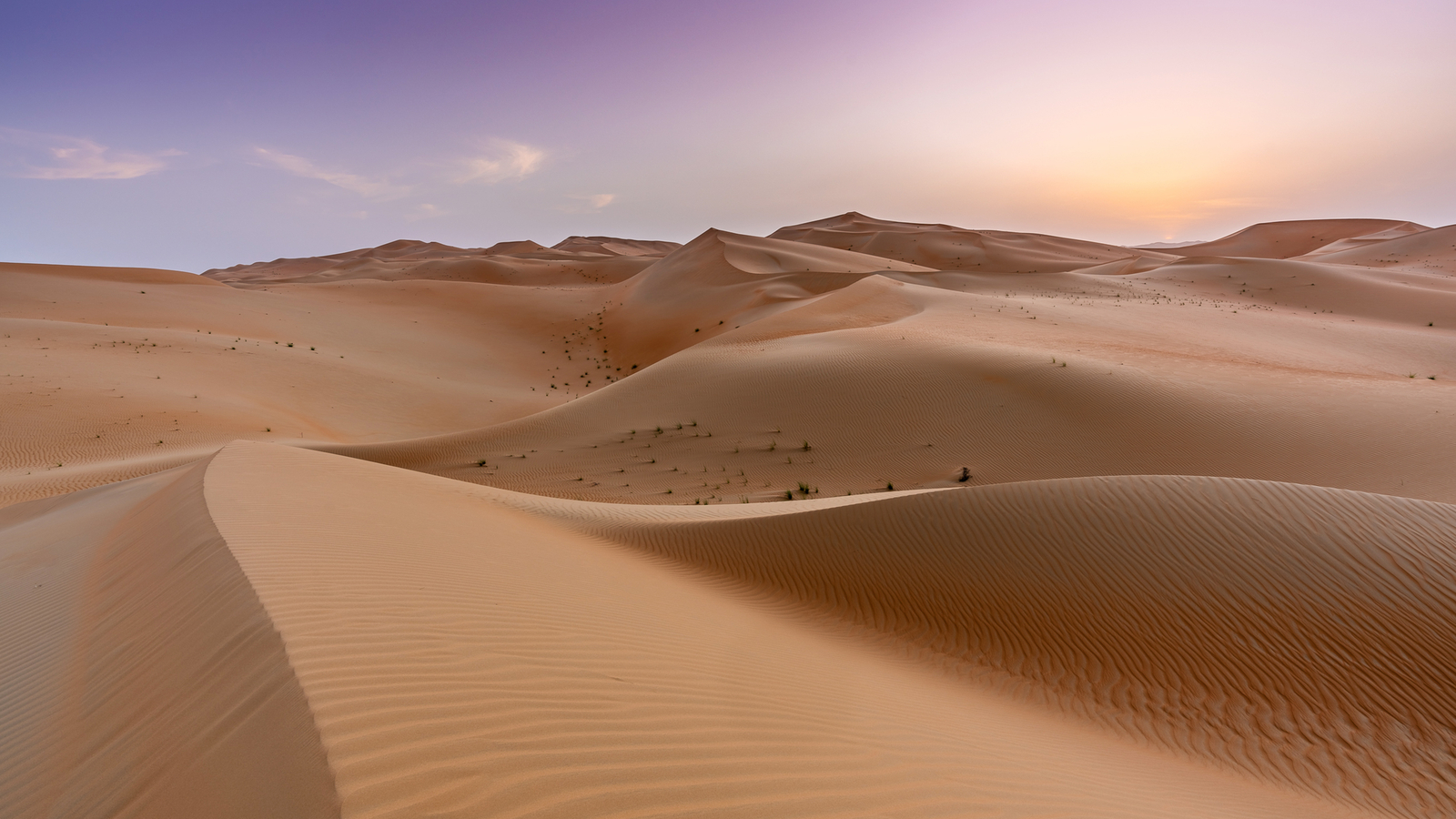 Abu Dhabi Desert