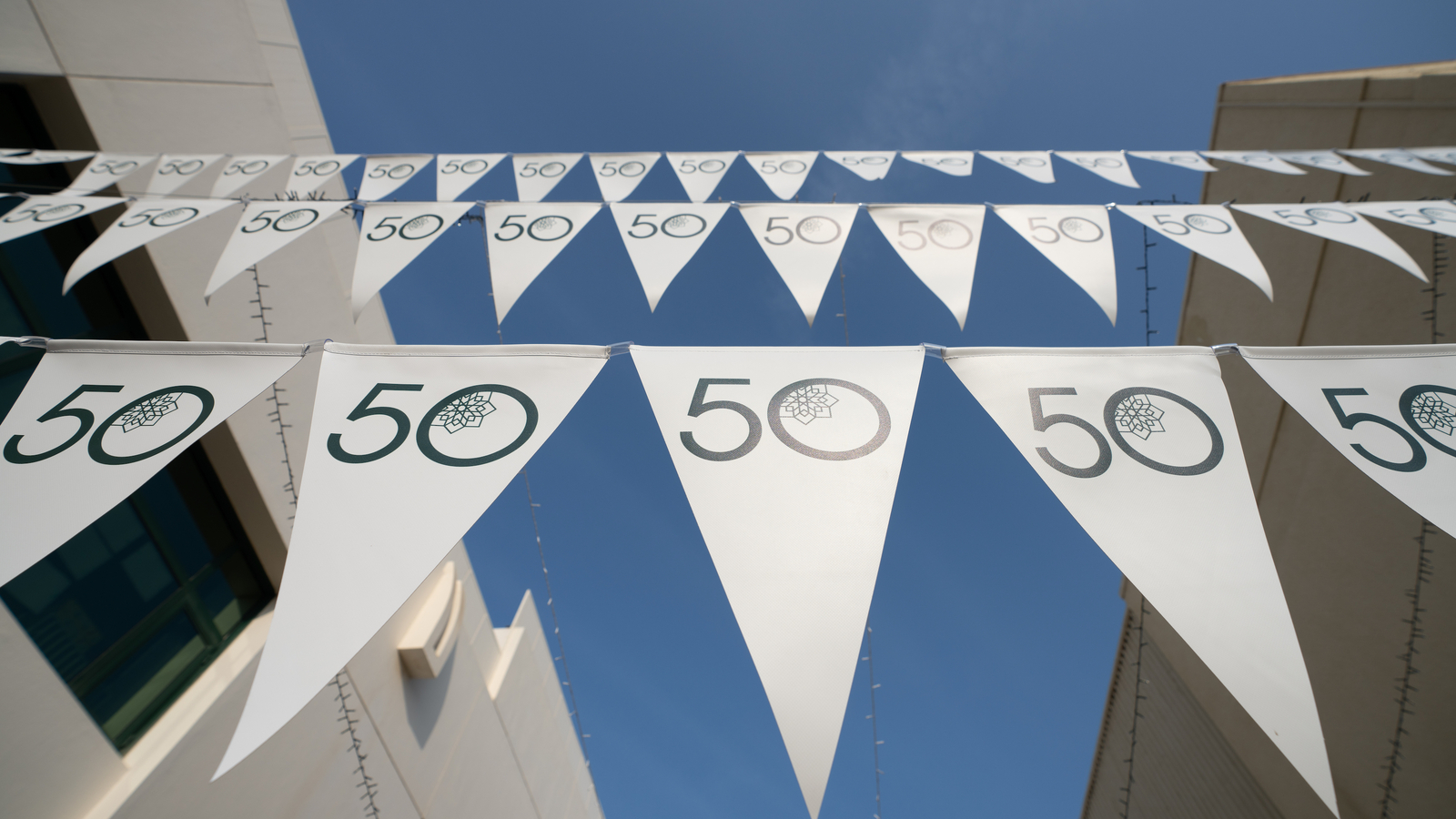 50 Bunting
